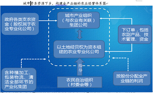 中國經(jīng)濟(jì)體制改革基金會(huì)楊慶育：重慶統(tǒng)籌城鄉(xiāng)綜改案例及深化改革方向